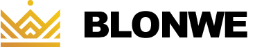 Pisara